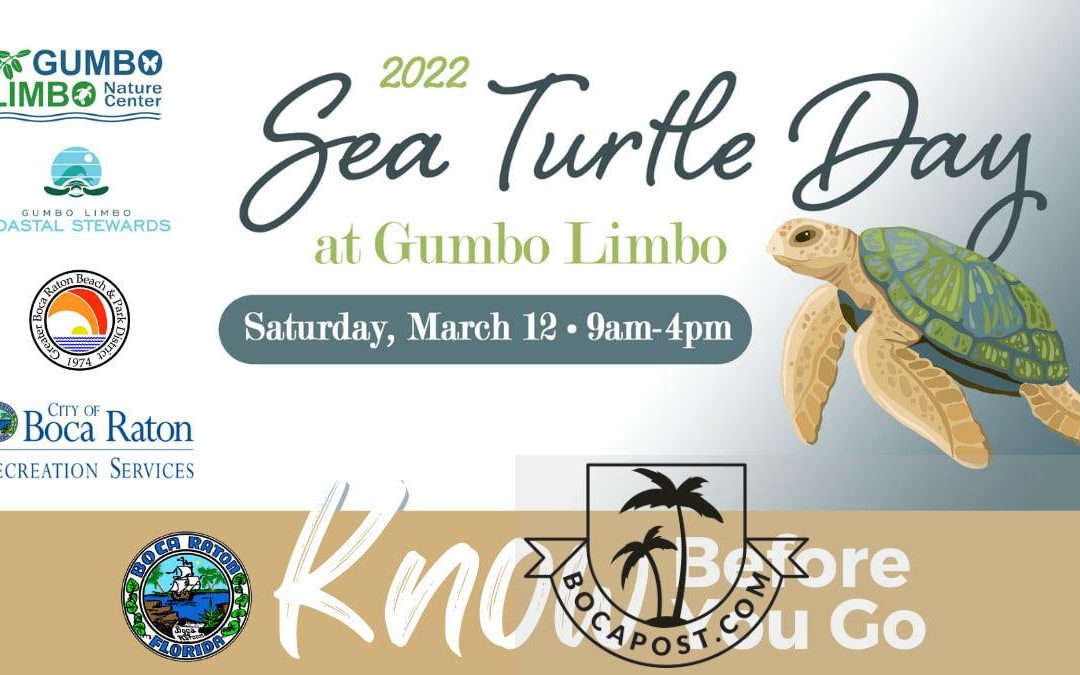 TOMORROW: Sea Turtle Day At Gumbo Limbo