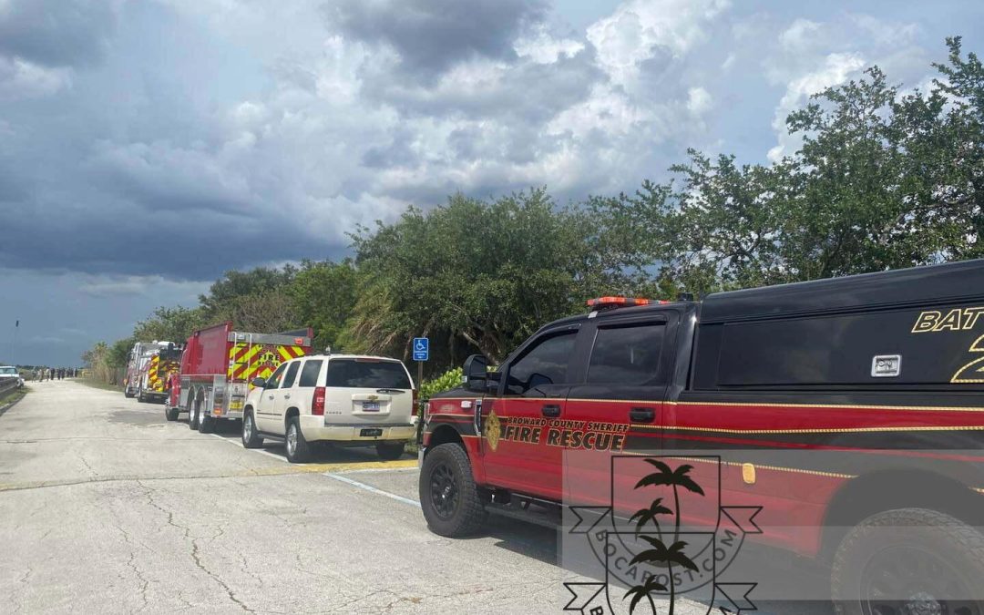 HOLY SMOKES: Rain Washes Out At Least One Everglades Wildfire!