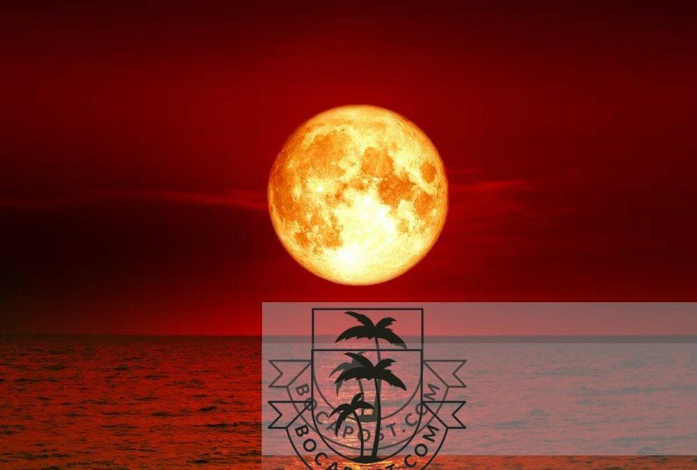 TONIGHT: What You Need To See The Blood Moon