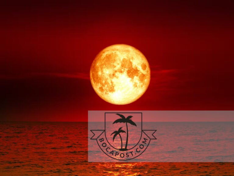 TONIGHT What You Need To See The Blood Moon Boca Post