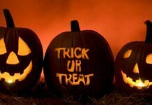 HAPPY HALLOWEEN: Avoid 1,200 Sex Offenders In Palm Beach County, Safety Tips Avoid The 1,200 Sex Offenders In Palm Beach County, Safety Tips