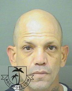 Pbso Nabs Lake Worth Beach Bird Thief