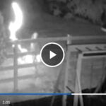 Parkland Family Harassed By Vandals Setting Off Fireworks