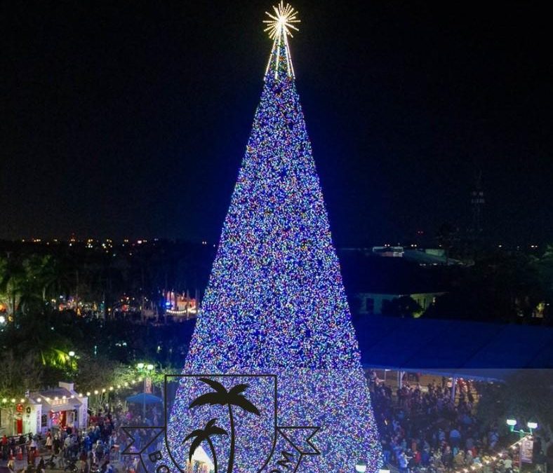 City Of Delray Beach Wins International Award For 100-Foot Christmas Tree