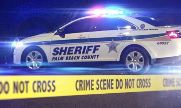 Delray Beach Woman Struck, Killed By Newspaper Delivery Driver