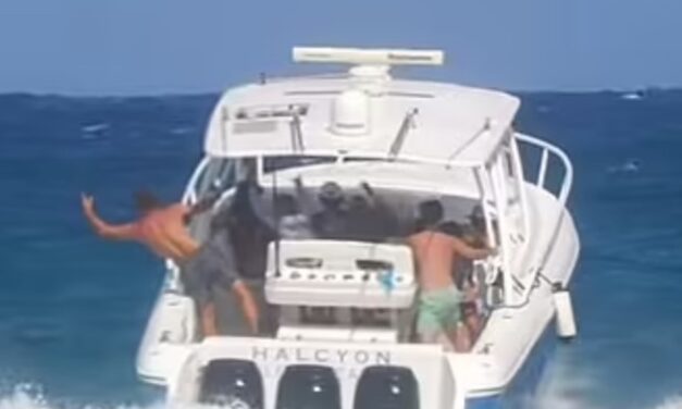 Boca Bash Trash, Investigation And Arrests