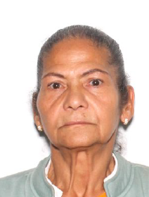 Bso Missing Persons Unit Search For 71-Year-Old Woman