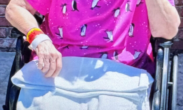 Silver Alert: Detectives Search For Missing 84-Year-Old Woman