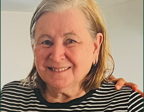 Bso Detectives Search For Missing 69-Year-Old