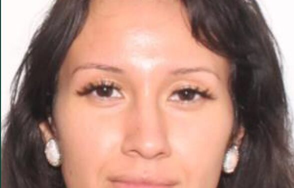 Bso Detectives Search For Missing 26-Year-Old