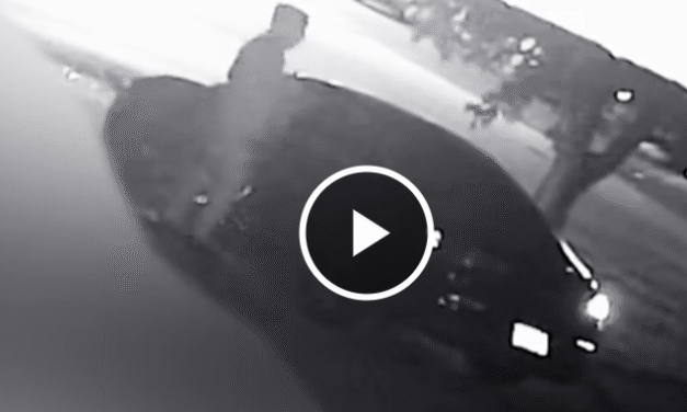 Bso Detectives Release Surveillance Video In Unsolved Homicide