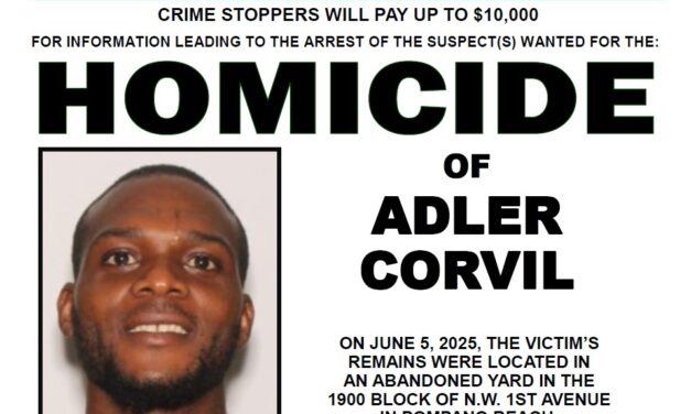 Bso Detectives Seek Clues After Human Remains Discovered; Believed To Be Homicide Victim