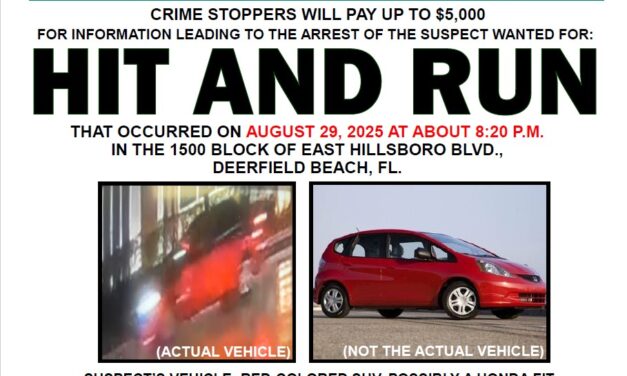 Bso Deerfield Beach Traffic Unit Detectives Investigate  Hit-And-Run Crash