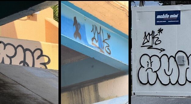 Reward Offered In Repeat Vandalism Case