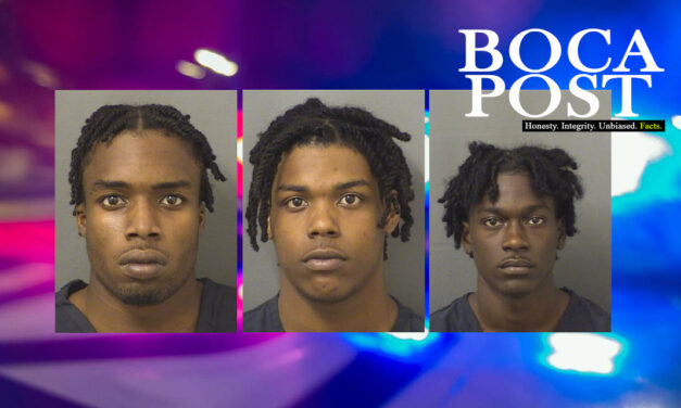 POLICE: 3 Nabbed In High End Auto Burglary Sting