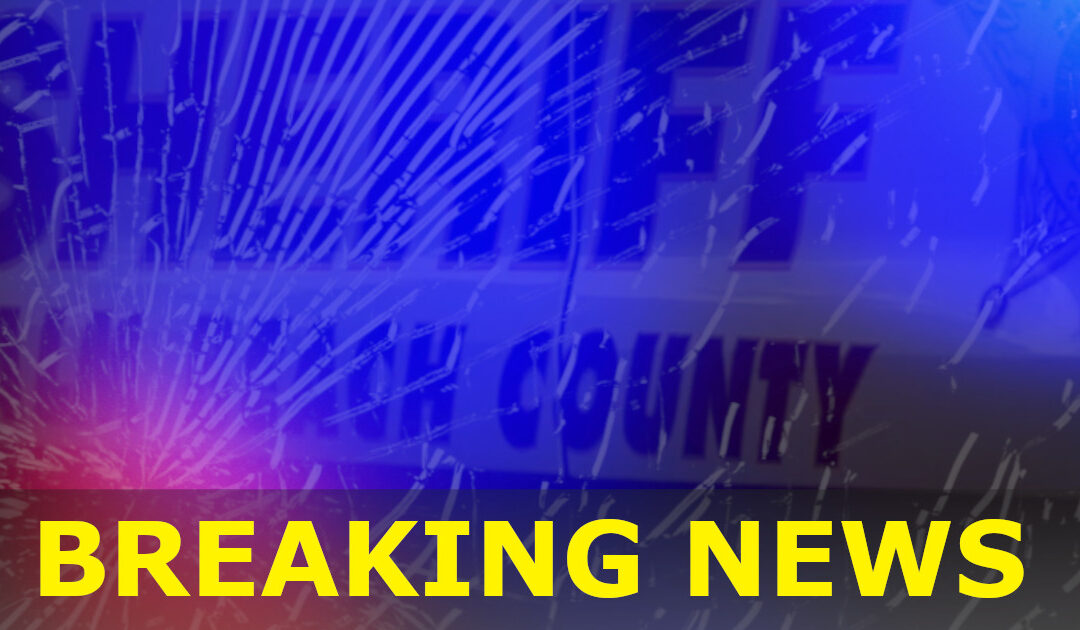 Pbso Dui Patrols Net 12 Arrests During Super Bowl Weekend Push