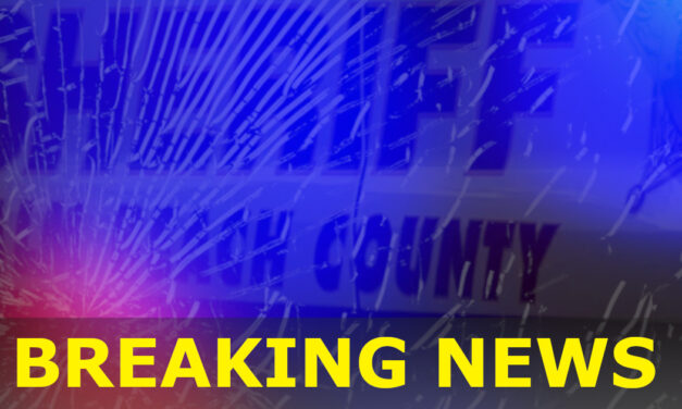 BREAKING: PBSO is looking for Delores Beliveau