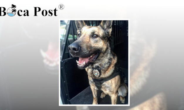 Delray Beach Police Mourn Loss Of K-9 Benny