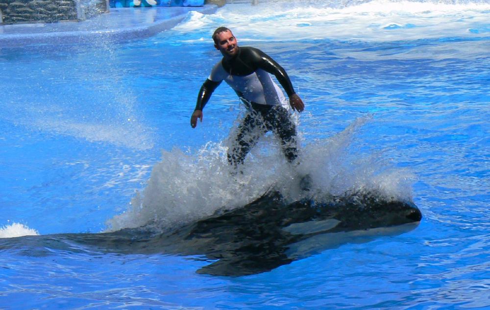 Ada Probe: Justice Department Opens Ada Investigation Into Seaworld, Busch Gardens, Aquatica