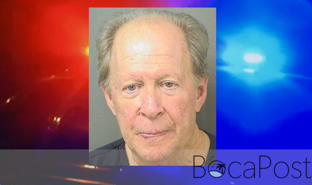 VIDEO: Boca Raton Man Accused of Leaving Crash That Hit Police Vehicle