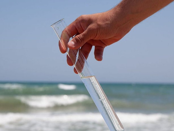 Health Advisory Issued For Spanish River Beach After Elevated Bacteria Found