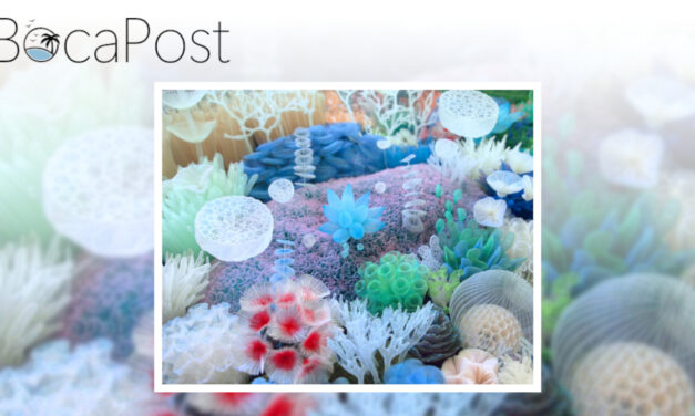 “Light as Air” Brings Floating Fabric Sculptures to Morikami Museum