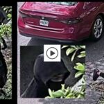 NEW VIDEO: Rifle-Wielding Suspects In Deadly Pompano Beach Ambush