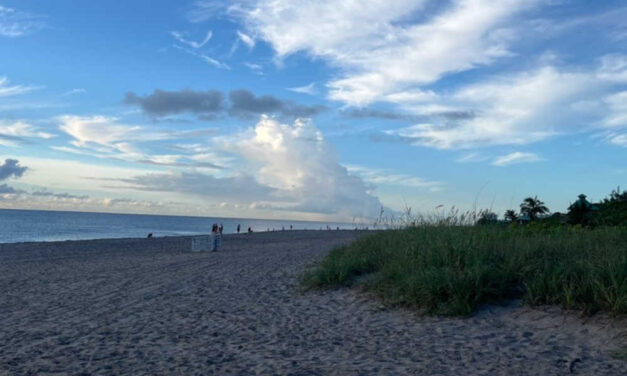 Spanish River Park in Boca Raton: A Local Guide