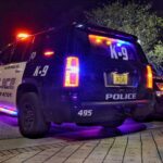 Teen Arrested After Food Court Scare at Town Center Mall, Police Say