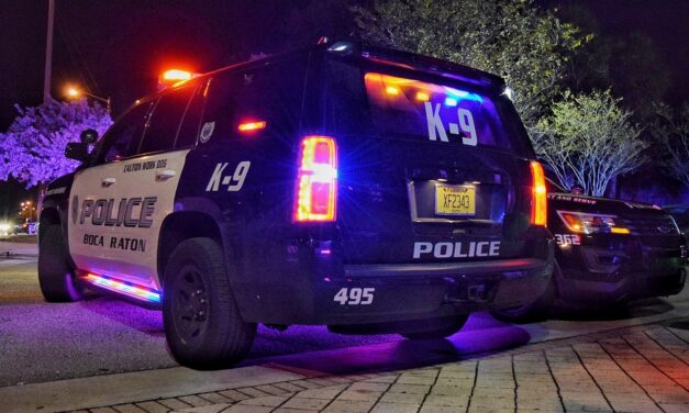 Teen Arrested After Food Court Scare at Town Center Mall, Police Say