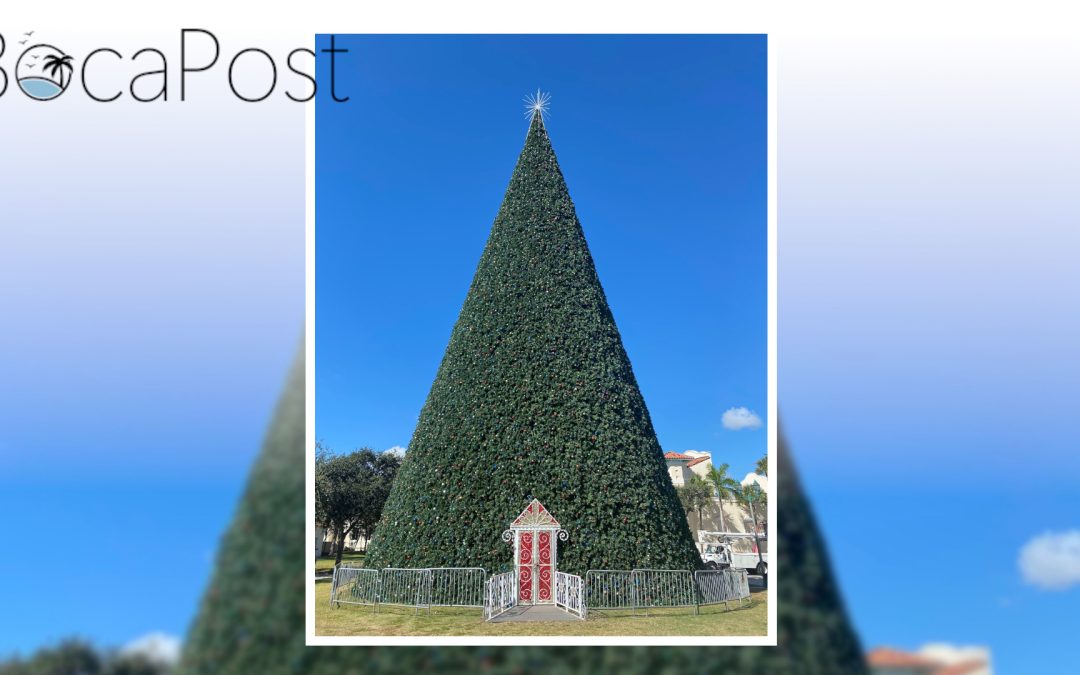 The 100 Ft Christmas Tree Is Up In Downtown Delray Beach