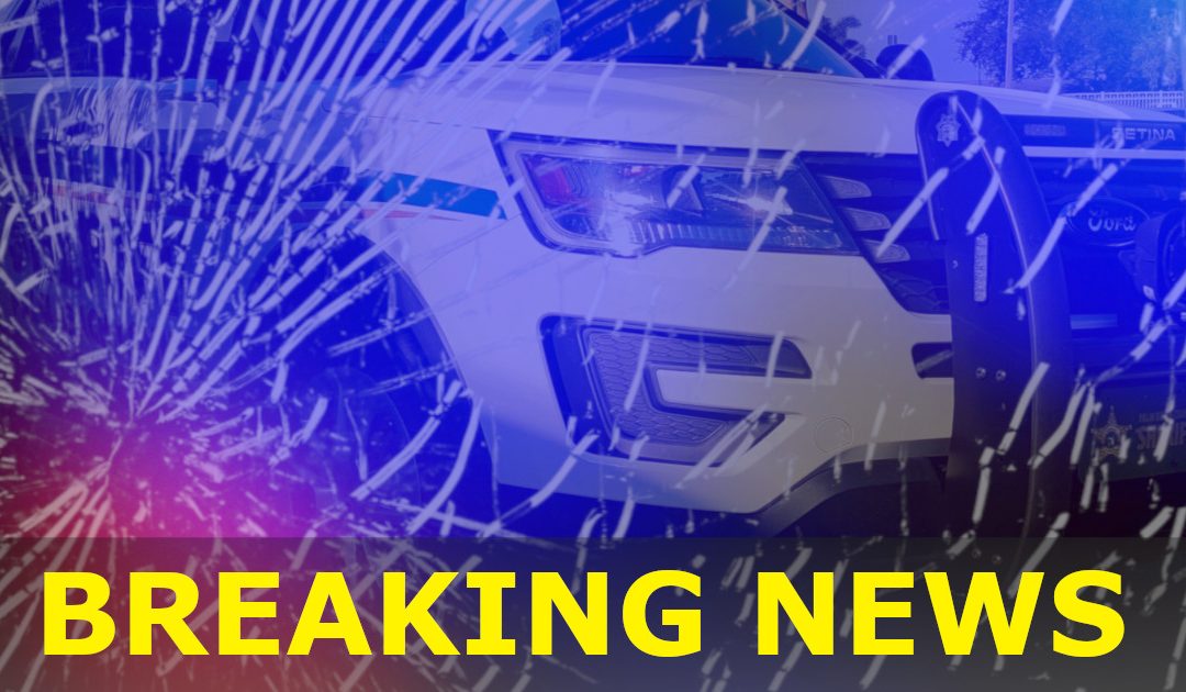 Toddler Struck, Killed By Pickup Truck In Lake Worth Beach