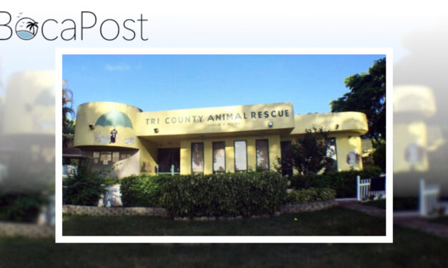 Tri-County Animal Rescue Pleads for Help as Shelters Reach Breaking Point