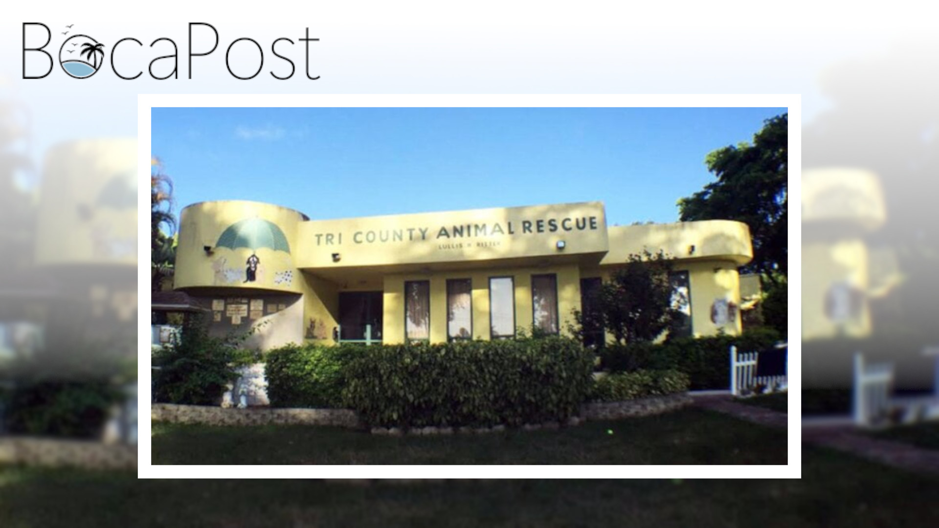 Tri-County Animal Rescue Pleads for Help as Shelters Reach Breaking Point Tri-County Animal Rescue Pleads for Help as Shelters Reach Breaking Point