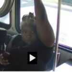 Video - 70-Year-Old Woman Beaten On Broward Bus