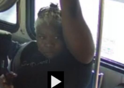 VIDEO: 70-Year-Old Woman Beaten On Broward Bus