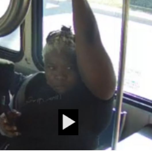 VIDEO - 70-Year-Old Woman Beaten On Broward Bus