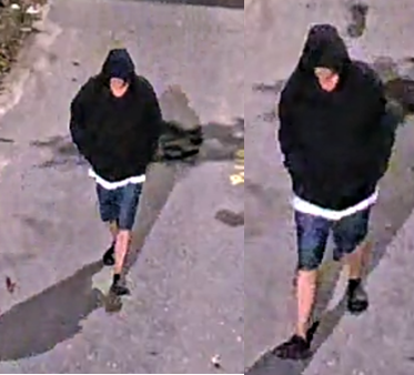 Breaking: Pbso Detectives Investigate A Shooting/Homicide In The City Of Lake Worth Beach - Boca Post Breaking: Pbso Detectives Investigate A Shooting/Homicide In The City Of Lake Worth Beach - Boca Post