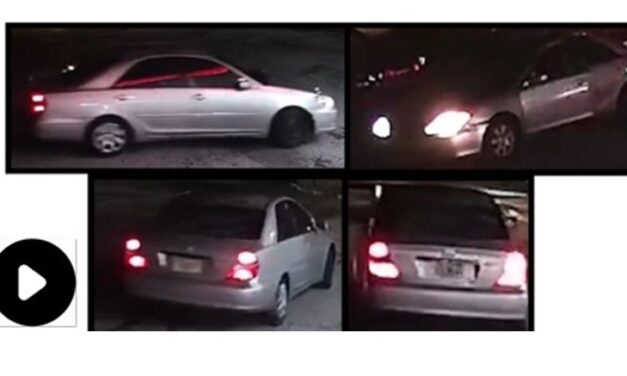 Hit-and-run suspect arrested after fatal Tamarac crash