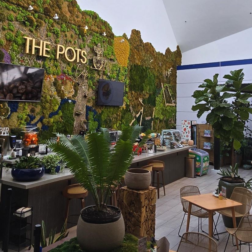 Best Coffee Shops In Boca Raton - Boca Post Best Coffee Shops In Boca Raton - Boca Post