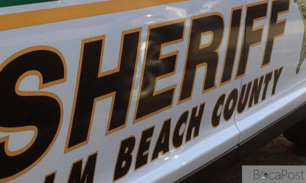 Wellington Crash on Palm Beach Point Boulevard Leaves Driver Dead, Child Injured