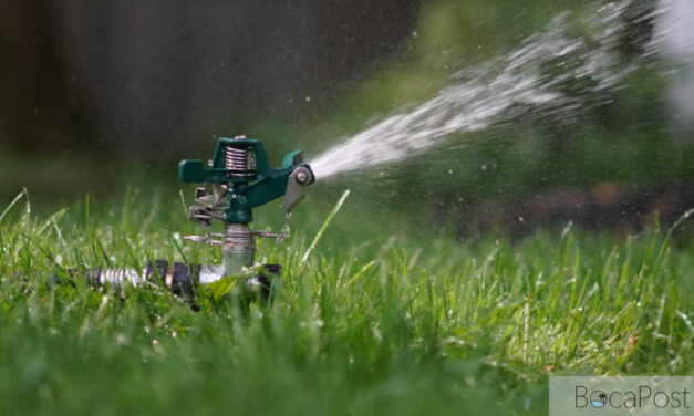 Delray Beach Expands Irrigation Ban as Crews Work to Stabilize Water System