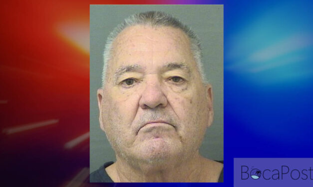 NEW DETAILS: Boca Raton Man Arrested on Battery Charge Following Incident at Glades Road ANTI-ICE Protest