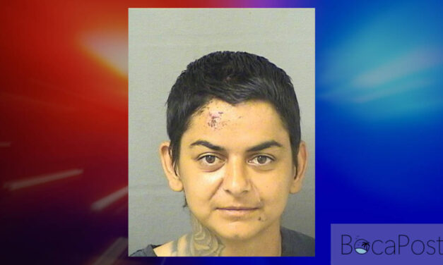 POLICE: Woman Swings Hammer In Traffic, Spits On Cop