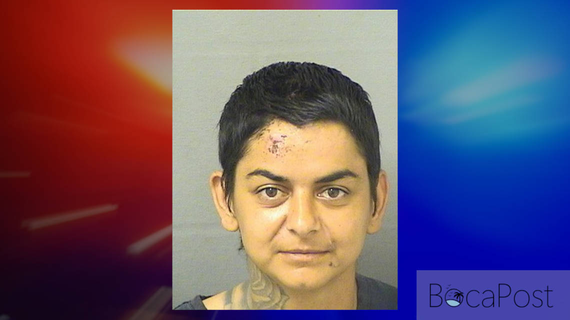 Police - Woman Swings Hammer In Traffic, Spits On Cop - Jaimie Leanne Borys