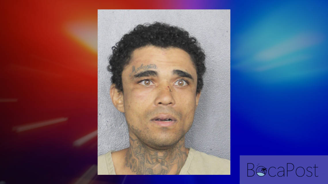 Bso Pursuit In Tamarac Ends In Fatal Crash, Suspect Charged With Felony Murder - Sean Paul Holder