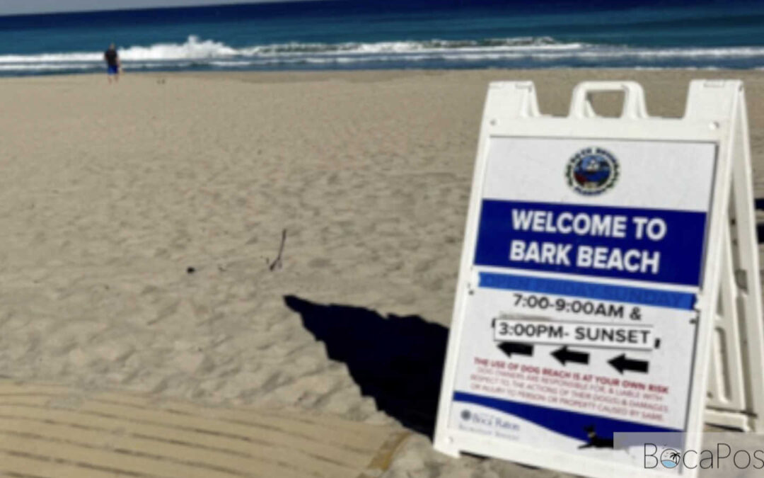 Boca Raton Expands Bark Beach To 7 Days A Week At Spanish River Park
