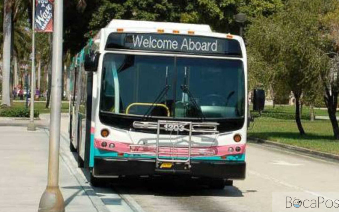 Palm Beach County Sued Over Palm Tran Bus Crash, Lawsuit Alleges