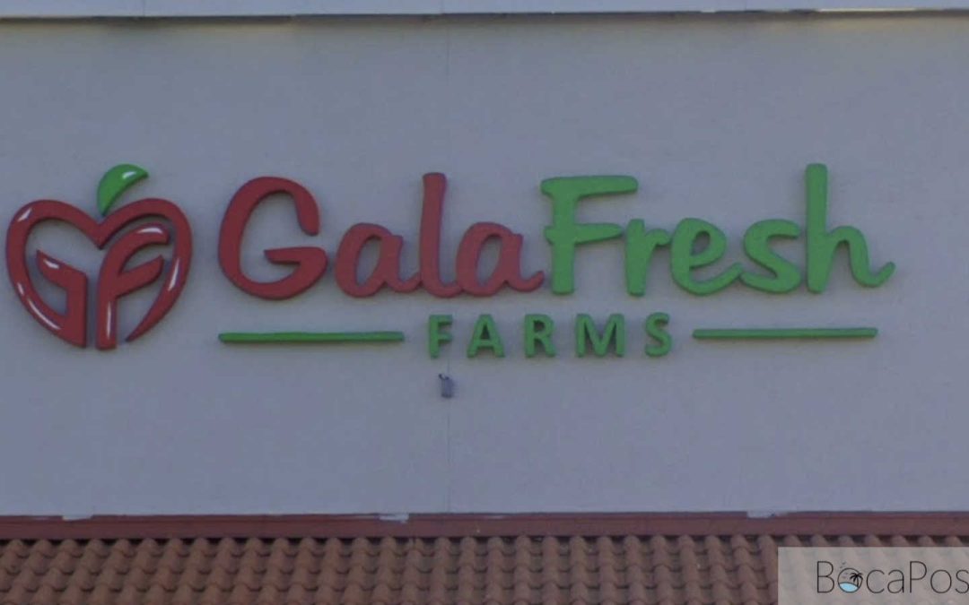 West Boca Galafresh Market Sued After Shopper Says Falling Merchandise Struck Her Head