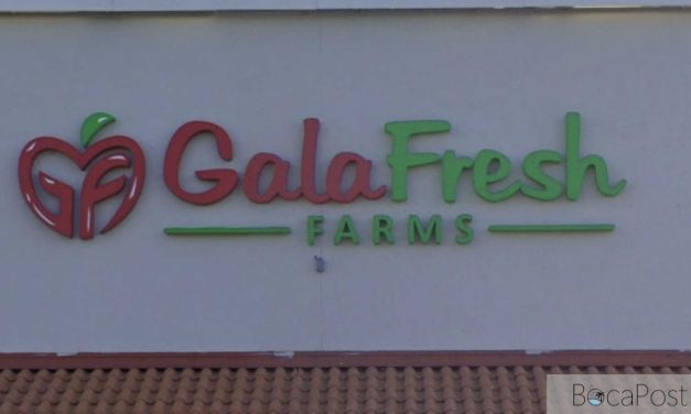 West Boca GalaFresh Market Sued After Shopper Says Falling Merchandise Struck Her Head